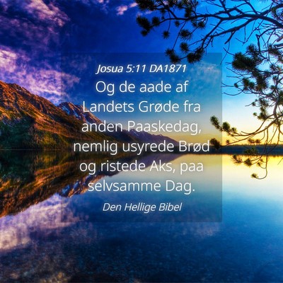 Picture 04 - Josua 5:11 DA1871 - Og de aade af Landets Grøde fra anden Paaskedag, - Bible Verse Picture
