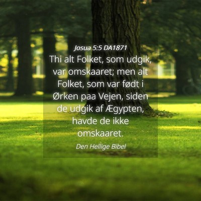 Picture 04 - Josua 5:5 DA1871 - Thi alt Folket, som udgik, var omskaaret; men alt - Bible Verse Picture