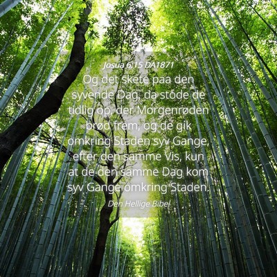 Picture 04 - Josua 6:15 DA1871 - Og det skete paa den syvende Dag, da stode de - Bible Verse Picture