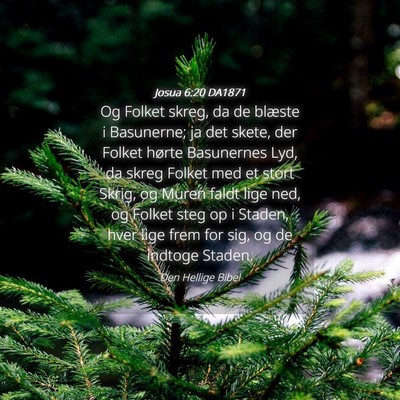 Picture 04 - Josua 6:20 DA1871 - Og Folket skreg, da de blæste i Basunerne; ja - Bible Verse Picture