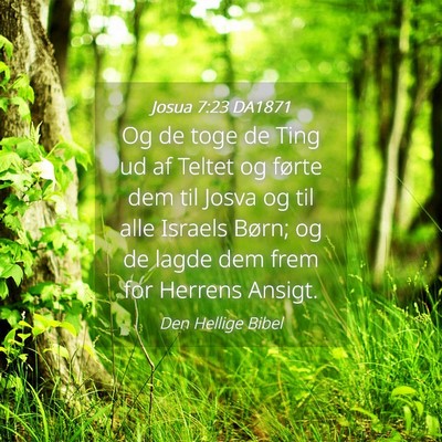 Picture 04 - Josua 7:23 DA1871 - Og de toge de Ting ud af Teltet og førte dem til - Bible Verse Picture