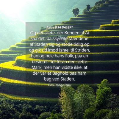 Picture 04 - Josua 8:14 DA1871 - Og det skete, der Kongen af Ai saa det, da - Bible Verse Picture