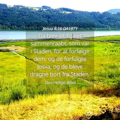 Picture 04 - Josua 8:16 DA1871 - Da blev alt Folket sammenraabt, som var i Staden, - Bible Verse Picture