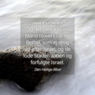 Picture 04 - Josua 8:17 DA1871 - Og der blev ikke en Mand tilovers i Ai og Bethel, - Bible Verse Picture