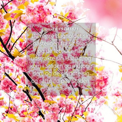 Picture 04 - Josua 8:19 DA1871 - Da rejste Bagholdet sig hasteligen fra sit Sted, - Bible Verse Picture