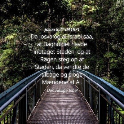 Picture 04 - Josua 8:21 DA1871 - Da Josva og al Israel saa, at Bagholdet havde - Bible Verse Picture