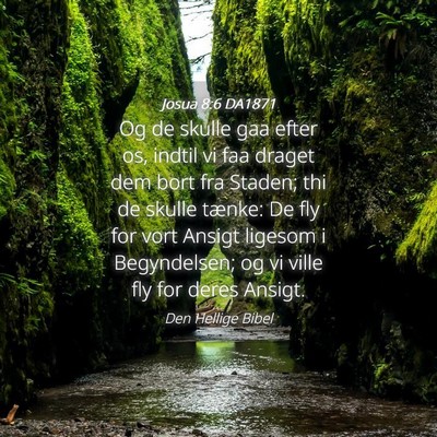 Picture 04 - Josua 8:6 DA1871 - Og de skulle gaa efter os, indtil vi faa draget - Bible Verse Picture