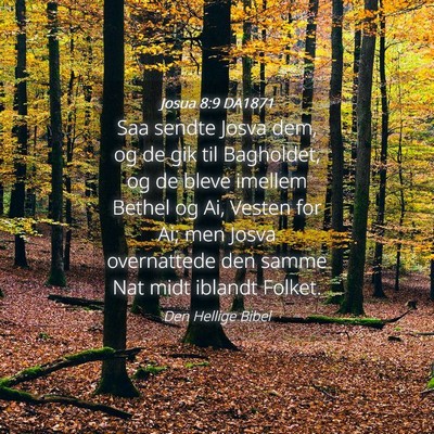 Picture 04 - Josua 8:9 DA1871 - Saa sendte Josva dem, og de gik til Bagholdet, og - Bible Verse Picture