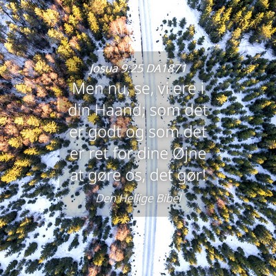 Picture 04 - Josua 9:25 DA1871 - Men nu, se, vi ere i din Haand; som det er godt - Bible Verse Picture