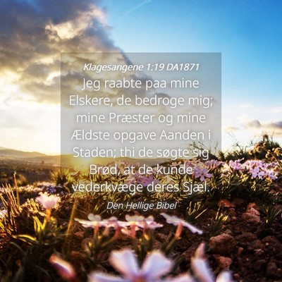 Picture 04 - Klagesangene 1:19 DA1871 - Jeg raabte paa mine Elskere, de bedroge mig; mine - Bible Verse Picture