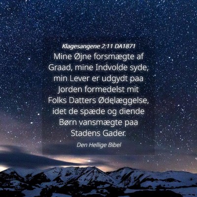 Picture 04 - Klagesangene 2:11 DA1871 - Mine Øjne forsmægte af Graad, mine Indvolde - Bible Verse Picture
