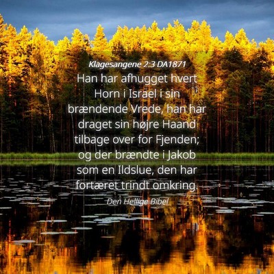 Picture 04 - Klagesangene 2:3 DA1871 - Han har afhugget hvert Horn i Israel i sin - Bible Verse Picture