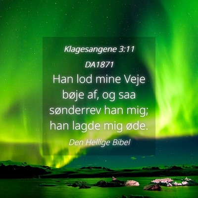 Picture 04 - Klagesangene 3:11 DA1871 - Han lod mine Veje bøje af, og saa sønderrev han - Bible Verse Picture