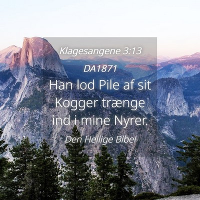 Picture 04 - Klagesangene 3:13 DA1871 - Han lod Pile af sit Kogger trænge ind i mine - Bible Verse Picture