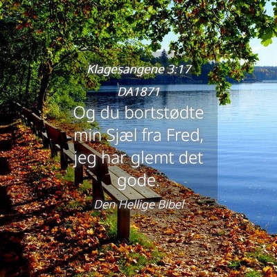 Picture 04 - Klagesangene 3:17 DA1871 - Og du bortstødte min Sjæl fra Fred, jeg har - Bible Verse Picture