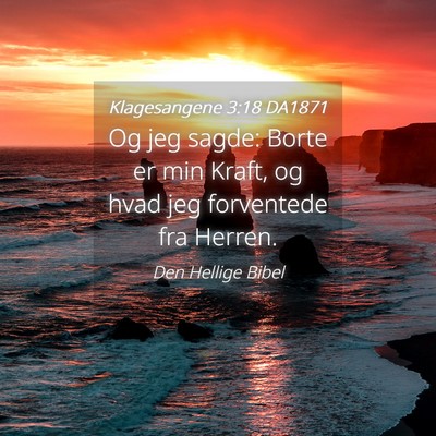 Picture 04 - Klagesangene 3:18 DA1871 - Og jeg sagde: Borte er min Kraft, og hvad jeg - Bible Verse Picture
