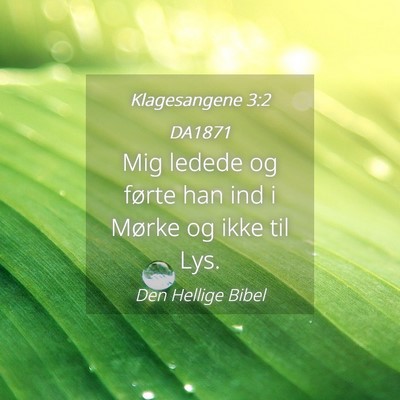 Picture 04 - Klagesangene 3:2 DA1871 - Mig ledede og førte han ind i Mørke og ikke til - Bible Verse Picture