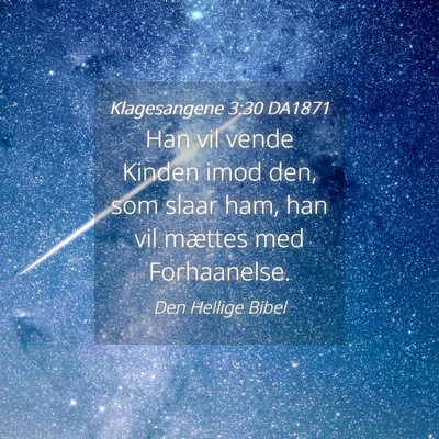 Picture 04 - Klagesangene 3:30 DA1871 - Han vil vende Kinden imod den, som slaar ham, han - Bible Verse Picture