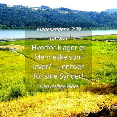 Picture 04 - Klagesangene 3:39 DA1871 - Hvorfor klager et Menneske som lever? — enhver - Bible Verse Picture