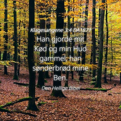 Picture 04 - Klagesangene 3:4 DA1871 - Han gjorde mit Kød og min Hud gammel; han - Bible Verse Picture