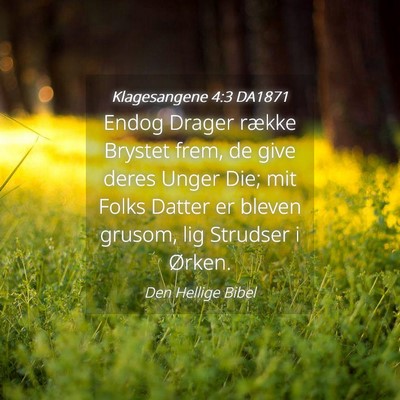 Picture 04 - Klagesangene 4:3 DA1871 - Endog Drager række Brystet frem, de give deres - Bible Verse Picture