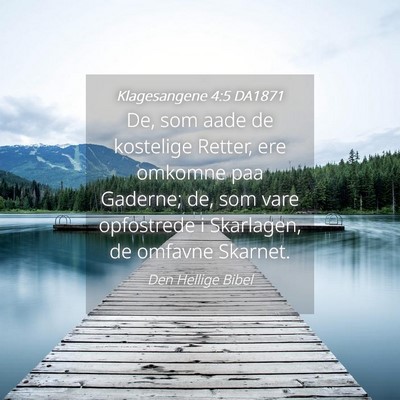 Picture 04 - Klagesangene 4:5 DA1871 - De, som aade de kostelige Retter, ere omkomne paa - Bible Verse Picture