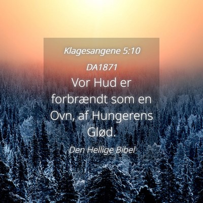 Picture 04 - Klagesangene 5:10 DA1871 - Vor Hud er forbrændt som en Ovn, af Hungerens - Bible Verse Picture