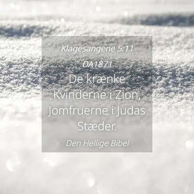 Picture 04 - Klagesangene 5:11 DA1871 - De krænke Kvinderne i Zion, Jomfruerne i Judas - Bible Verse Picture