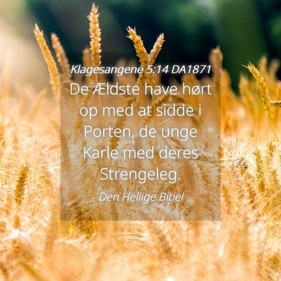 Picture 04 - Klagesangene 5:14 DA1871 - De Ældste have hørt op med at sidde i Porten, - Bible Verse Picture