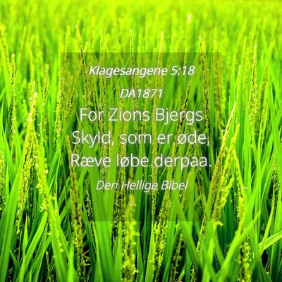 Picture 04 - Klagesangene 5:18 DA1871 - For Zions Bjergs Skyld, som er øde, Ræve løbe - Bible Verse Picture