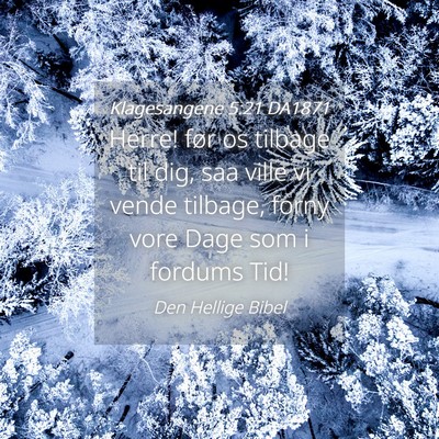Picture 04 - Klagesangene 5:21 DA1871 - Herre! før os tilbage til dig, saa ville vi - Bible Verse Picture