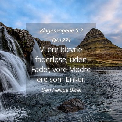 Picture 04 - Klagesangene 5:3 DA1871 - Vi ere blevne faderløse, uden Fader, vore Mødre - Bible Verse Picture