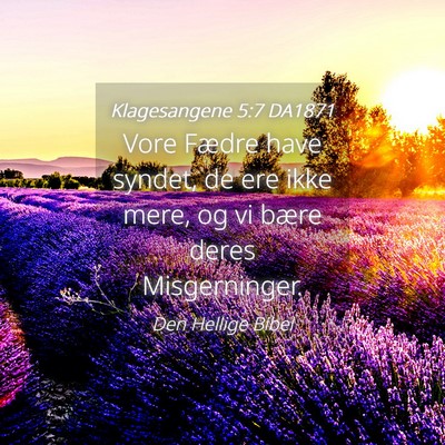 Picture 04 - Klagesangene 5:7 DA1871 - Vore Fædre have syndet, de ere ikke mere, og vi - Bible Verse Picture