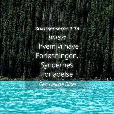 Picture 04 - Kolossenserne 1:14 DA1871 - i hvem vi have Forløsningen, Syndernes - Bible Verse Picture