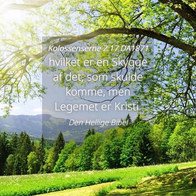 Picture 04 - Kolossenserne 2:17 DA1871 - hvilket er en Skygge af det, som skulde komme, - Bible Verse Picture