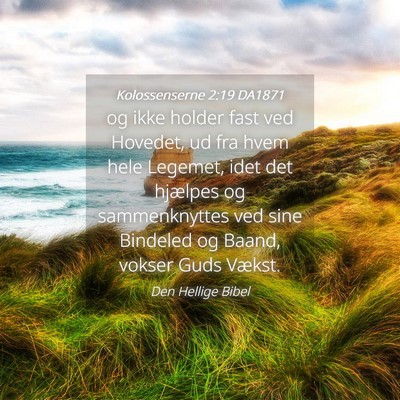 Picture 04 - Kolossenserne 2:19 DA1871 - og ikke holder fast ved Hovedet, ud fra hvem hele - Bible Verse Picture
