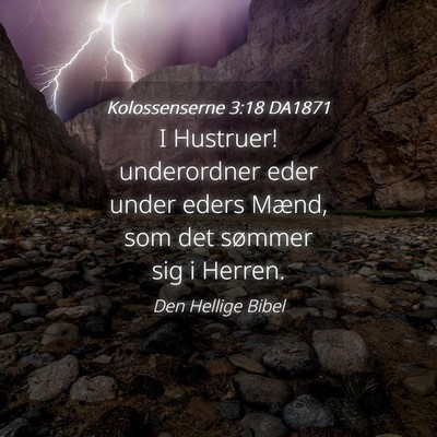Picture 04 - Kolossenserne 3:18 DA1871 - I Hustruer! underordner eder under eders Mænd, - Bible Verse Picture
