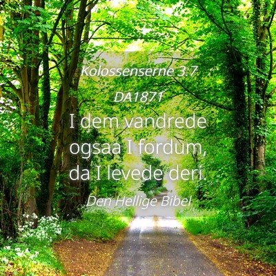 Picture 04 - Kolossenserne 3:7 DA1871 - I dem vandrede ogsaa I fordum, da I levede - Bible Verse Picture