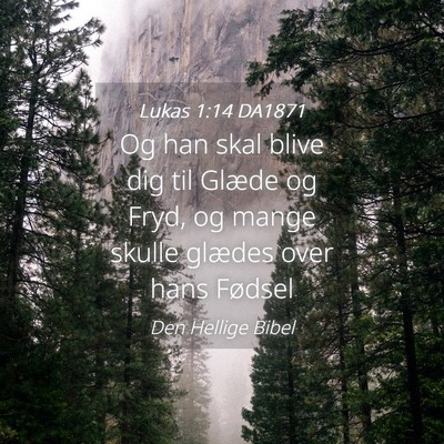 Picture 04 - Lukas 1:14 DA1871 - Og han skal blive dig til Glæde og Fryd, og - Bible Verse Picture