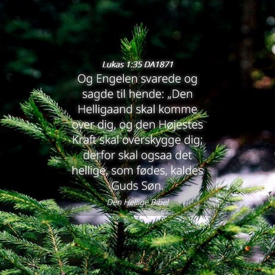 Picture 04 - Lukas 1:35 DA1871 - Og Engelen svarede og sagde til hende: „Den - Bible Verse Picture