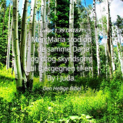Picture 04 - Lukas 1:39 DA1871 - Men Maria stod op i de samme Dage og drog - Bible Verse Picture