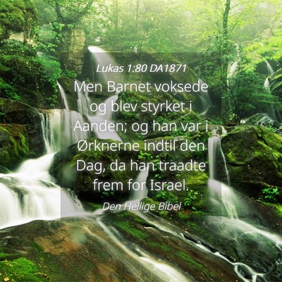Picture 04 - Lukas 1:80 DA1871 - Men Barnet voksede og blev styrket i Aanden; og - Bible Verse Picture