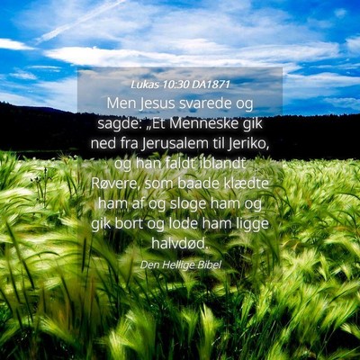 Picture 04 - Lukas 10:30 DA1871 - Men Jesus svarede og sagde: „Et Menneske gik - Bible Verse Picture