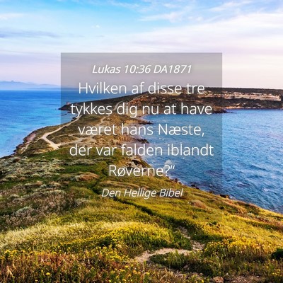 Picture 04 - Lukas 10:36 DA1871 - Hvilken af disse tre tykkes dig nu at have været - Bible Verse Picture