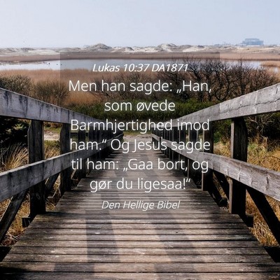 Picture 04 - Lukas 10:37 DA1871 - Men han sagde: „Han, som øvede Barmhjertighed - Bible Verse Picture