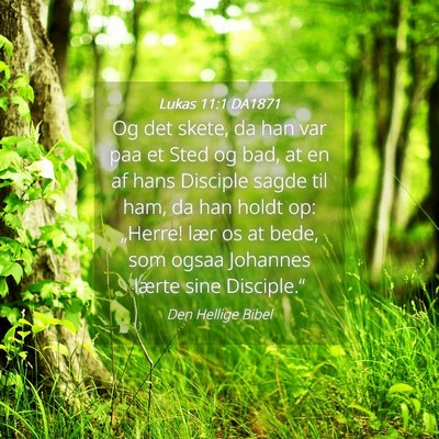 Picture 04 - Lukas 11:1 DA1871 - Og det skete, da han var paa et Sted og bad, at - Bible Verse Picture
