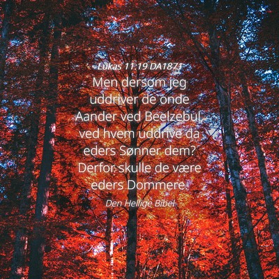 Picture 04 - Lukas 11:19 DA1871 - Men dersom jeg uddriver de onde Aander ved - Bible Verse Picture