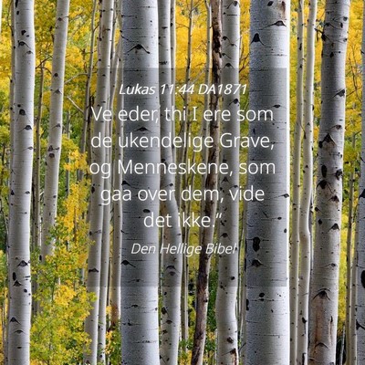 Picture 04 - Lukas 11:44 DA1871 - Ve eder, thi I ere som de ukendelige Grave, og - Bible Verse Picture