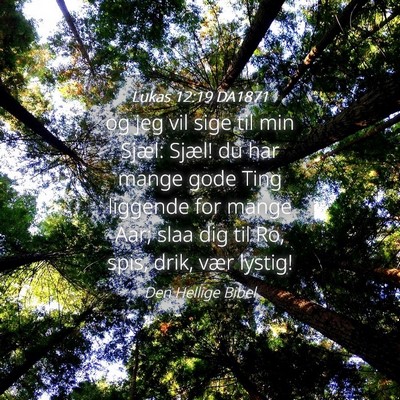 Picture 04 - Lukas 12:19 DA1871 - og jeg vil sige til min Sjæl: Sjæl! du har - Bible Verse Picture