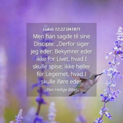 Picture 04 - Lukas 12:22 DA1871 - Men han sagde til sine Disciple: „Derfor siger - Bible Verse Picture
